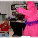 Pink Gorilla Pink Gorilla